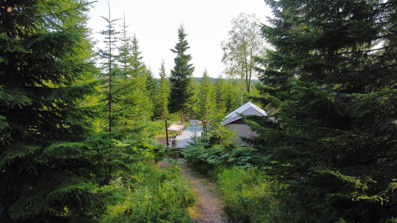 Glamping Tent With Amazing View In The Forest Турсбю Екстер'єр фото